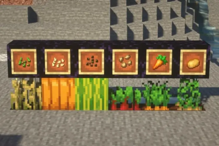 بعض محاصيل Minecraft الشائعة. القمح ، اليقطين ، البطيخ ، الشمندر ، الجزر ، والبطاطا. (من اليسار الى اليمين)